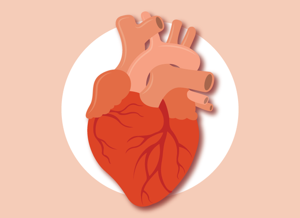 Sleep Apnea and AFib: What's the Connection?