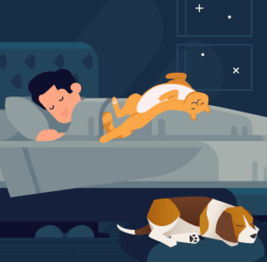 The Great Pet Debate: Should Animals Sleep in the Bed?