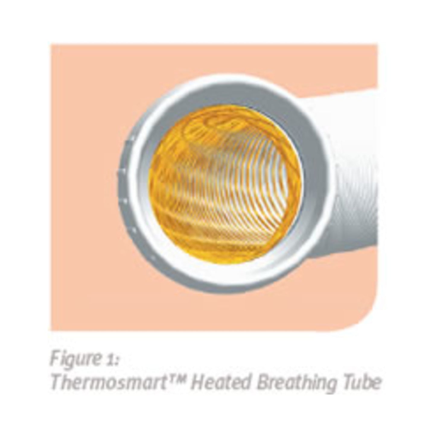 Product image for Thermosmart Heated Hose for 600 Series CPAPs - Thumbnail Image #2